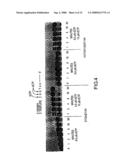 Method of Determining The Nucleotide Sequence of Oligonucleotides and DNA Molecules diagram and image