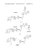 Method of Determining The Nucleotide Sequence of Oligonucleotides and DNA Molecules diagram and image