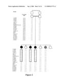 Nalp7-Based Diagnosis of Female Reproductive Conditions diagram and image