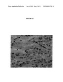 SITE-SPECIFIC ENZYMATIC DEPOSITION OF METAL IN SITU diagram and image