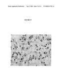 SITE-SPECIFIC ENZYMATIC DEPOSITION OF METAL IN SITU diagram and image