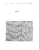 SITE-SPECIFIC ENZYMATIC DEPOSITION OF METAL IN SITU diagram and image