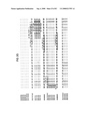 Methods and Compositions for Kir Genotyping diagram and image