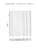 Methods and Compositions for Kir Genotyping diagram and image