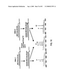 Methods and Compositions for Kir Genotyping diagram and image