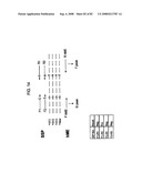 Methods and Compositions for Kir Genotyping diagram and image