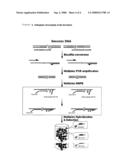 Assay for detecting methylation status by methylation specific primer extension (MSPE) diagram and image