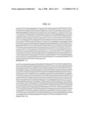 Materials and methods for assaying for methylation of CpG islands associated with genes in the evaluation of cancer diagram and image