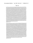 Materials and methods for assaying for methylation of CpG islands associated with genes in the evaluation of cancer diagram and image