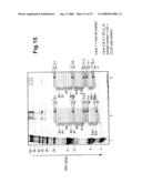 Diagnosis of Neurodegenerative Diseases diagram and image