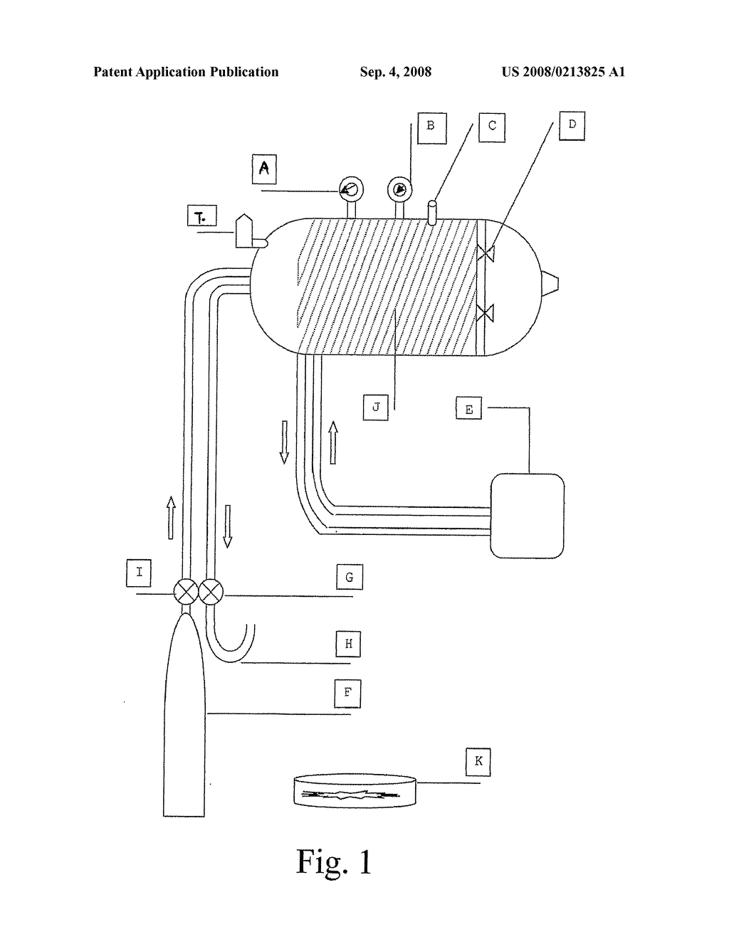 Hyperbaric Criogenesis Chambers - diagram, schematic, and image 02