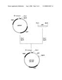 Process For Producing Dipeptides or Dipeptide Derivatives diagram and image