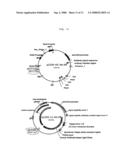 Materials and methods to increase peptide chain expression diagram and image