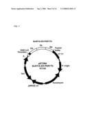 Degradable Clostridial Toxins diagram and image