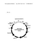 Degradable Clostridial Toxins diagram and image