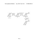 Compositions Containing, Methods Involving, and Uses of Non-Natural Amino Acids and Polypeptides diagram and image