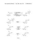 Compositions Containing, Methods Involving, and Uses of Non-Natural Amino Acids and Polypeptides diagram and image