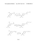 Compositions Containing, Methods Involving, and Uses of Non-Natural Amino Acids and Polypeptides diagram and image