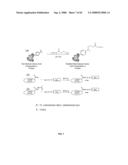 Compositions Containing, Methods Involving, and Uses of Non-Natural Amino Acids and Polypeptides diagram and image