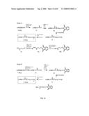 Compositions Containing, Methods Involving, and Uses of Non-Natural Amino Acids and Polypeptides diagram and image