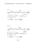 Compositions Containing, Methods Involving, and Uses of Non-Natural Amino Acids and Polypeptides diagram and image