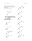 Compositions Containing, Methods Involving, and Uses of Non-Natural Amino Acids and Polypeptides diagram and image