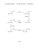 Compositions Containing, Methods Involving, and Uses of Non-Natural Amino Acids and Polypeptides diagram and image