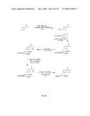 Compositions Containing, Methods Involving, and Uses of Non-Natural Amino Acids and Polypeptides diagram and image