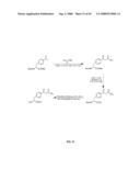 Compositions Containing, Methods Involving, and Uses of Non-Natural Amino Acids and Polypeptides diagram and image