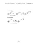 Compositions Containing, Methods Involving, and Uses of Non-Natural Amino Acids and Polypeptides diagram and image