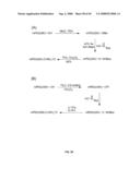 Compositions Containing, Methods Involving, and Uses of Non-Natural Amino Acids and Polypeptides diagram and image