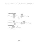 Compositions Containing, Methods Involving, and Uses of Non-Natural Amino Acids and Polypeptides diagram and image