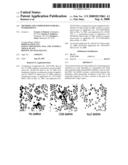 Methods and compositions for RNA interference diagram and image