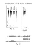 Methods and compositions for RNA interference diagram and image