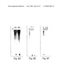 Methods and compositions for RNA interference diagram and image