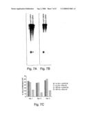 Methods and compositions for RNA interference diagram and image