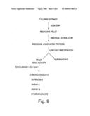 Methods and compositions for RNA interference diagram and image