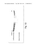 Methods and compositions for RNA interference diagram and image