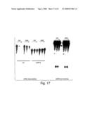 Methods and compositions for RNA interference diagram and image