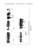 Methods and compositions for RNA interference diagram and image