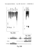 Methods and compositions for RNA interference diagram and image