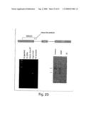 Methods and compositions for RNA interference diagram and image