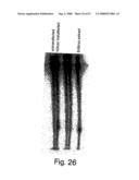 Methods and compositions for RNA interference diagram and image