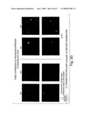 Methods and compositions for RNA interference diagram and image