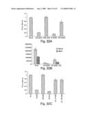 Methods and compositions for RNA interference diagram and image