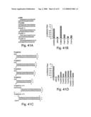 Methods and compositions for RNA interference diagram and image