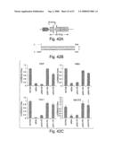 Methods and compositions for RNA interference diagram and image