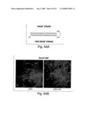 Methods and compositions for RNA interference diagram and image