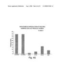 Methods and compositions for RNA interference diagram and image