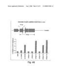 Methods and compositions for RNA interference diagram and image